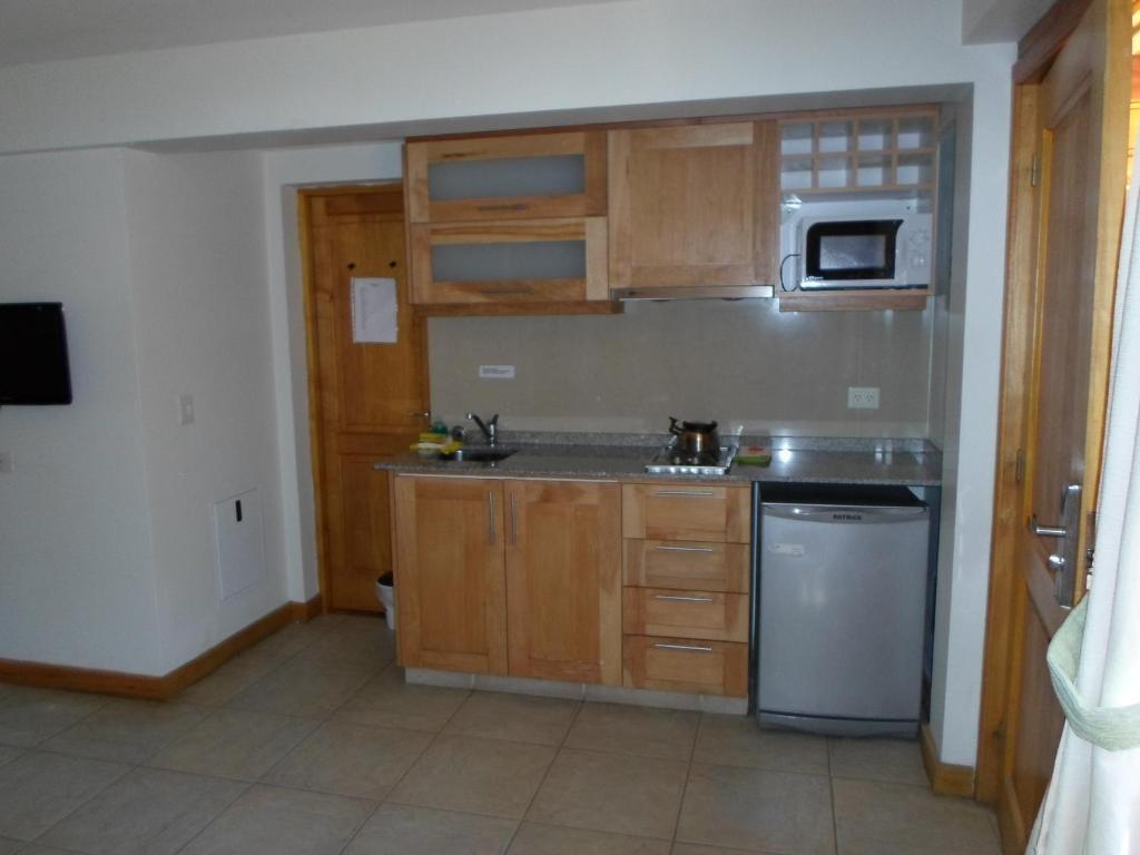 Apart Hotel Robles Del Sur San Martín de los Andes 客房 照片